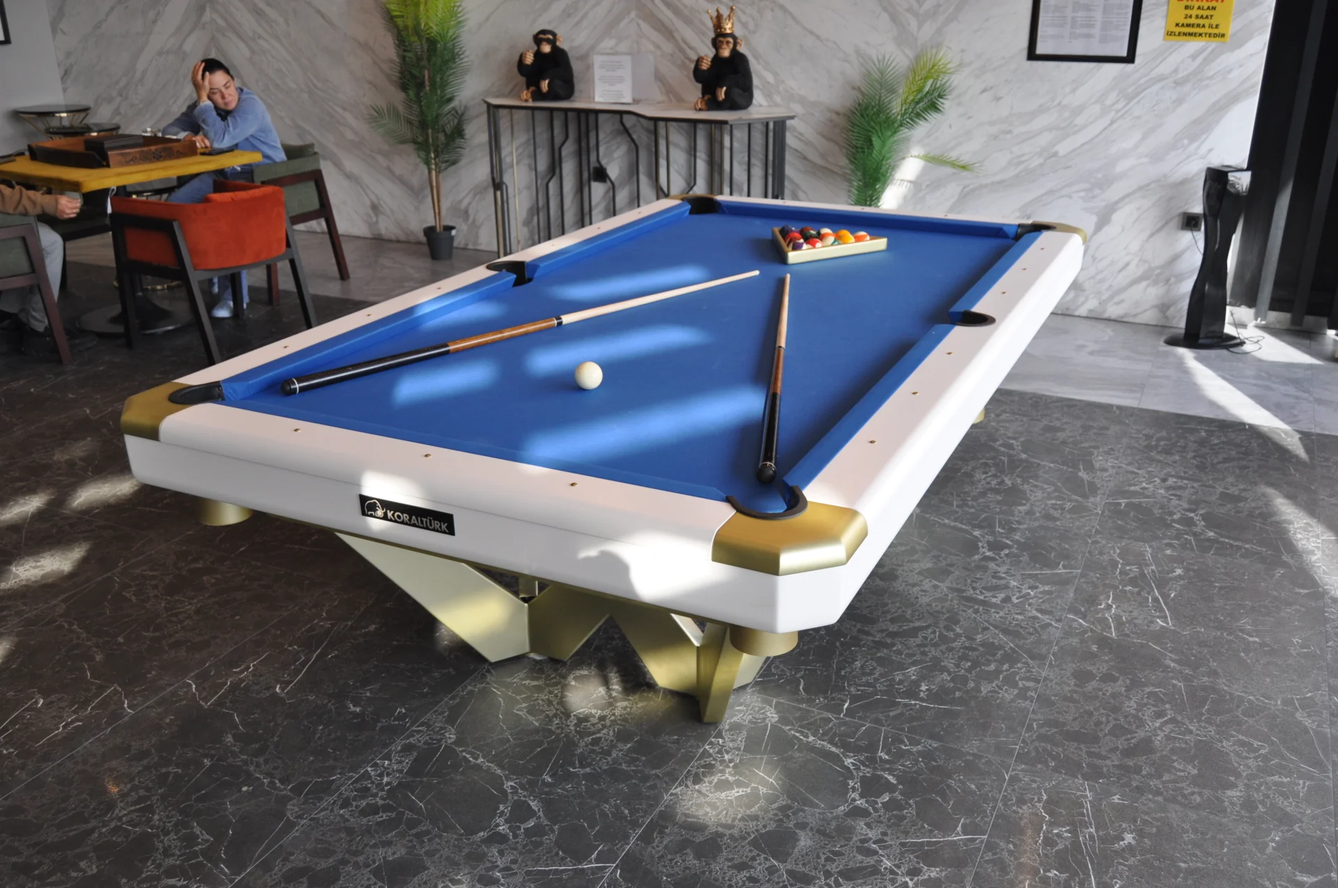 Wie spielt man Billard? (Umfassender Leitfaden)